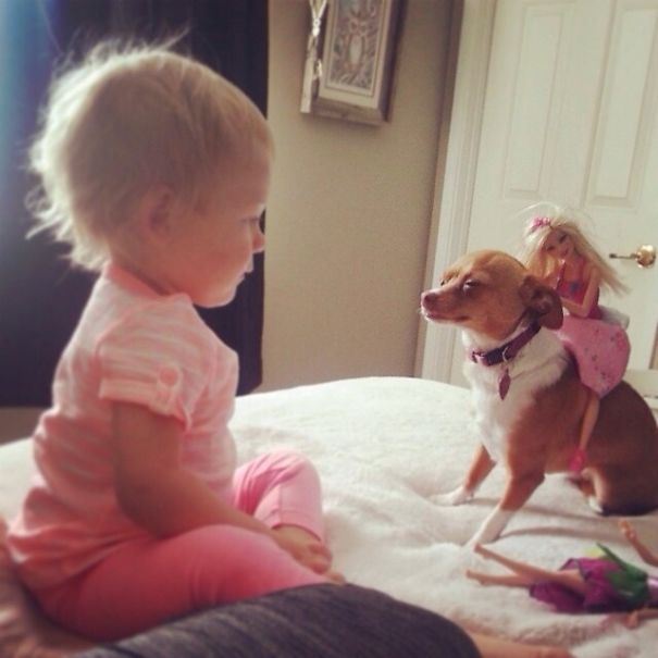 My Cousin Just Posted This Picture Of Her Extremely Patient Dog And Happy Baby