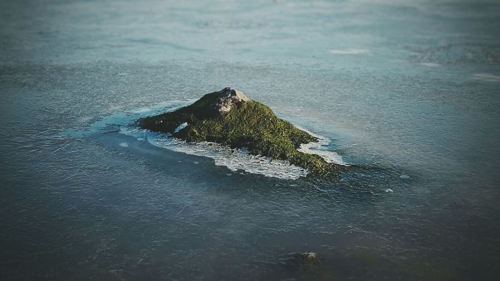 This Mossy Rock Looks Like A Tropical Island