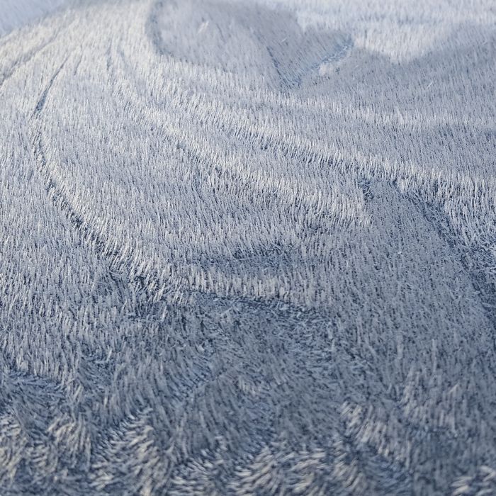 Frost On The Roof Of My Car Looks Like An Aerial Shot Of A Forest