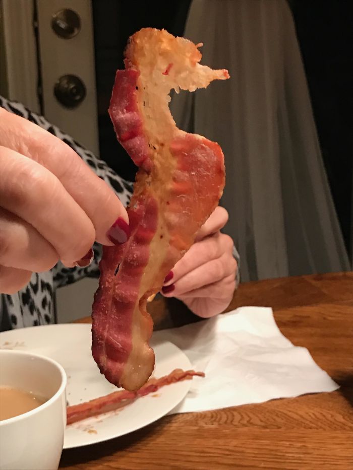 This Morning's Bacon Looks Like A Seahorse