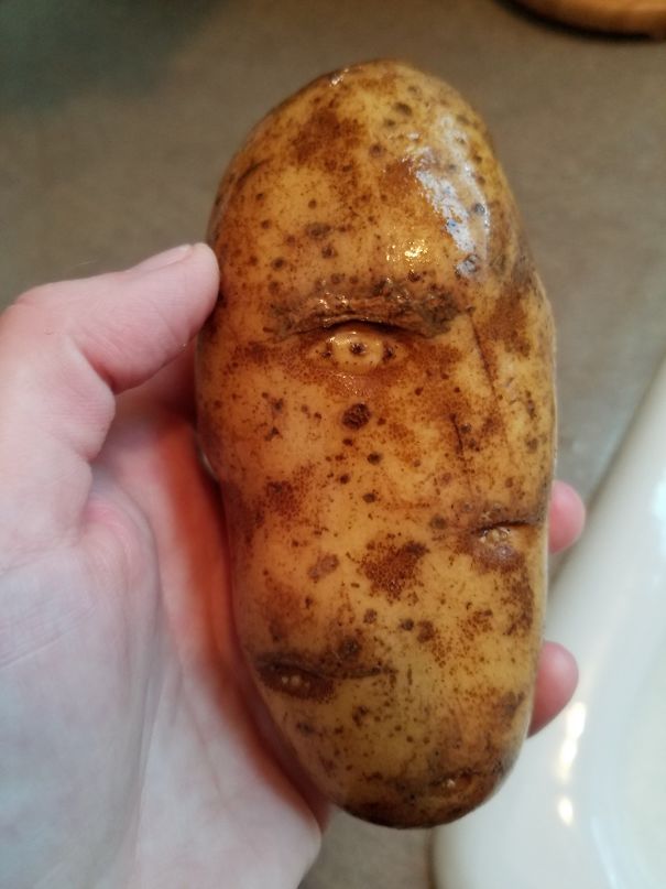 This Potatoe Has A Perfect Eye With Eyebrow