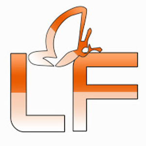 lavyfuity
