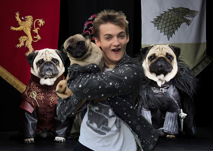 Game Of Pugs
