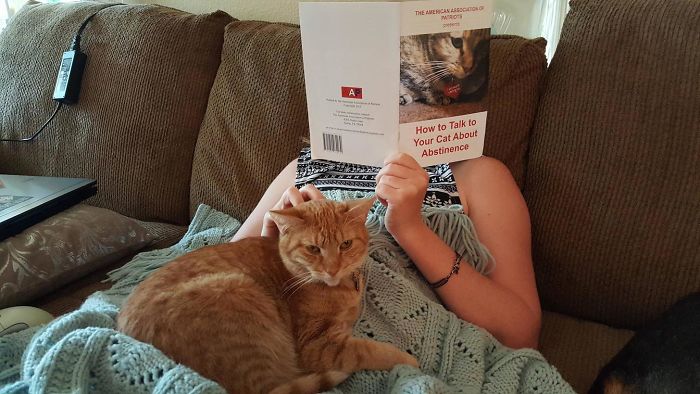 Encontré a mi novia leyéndole al gato