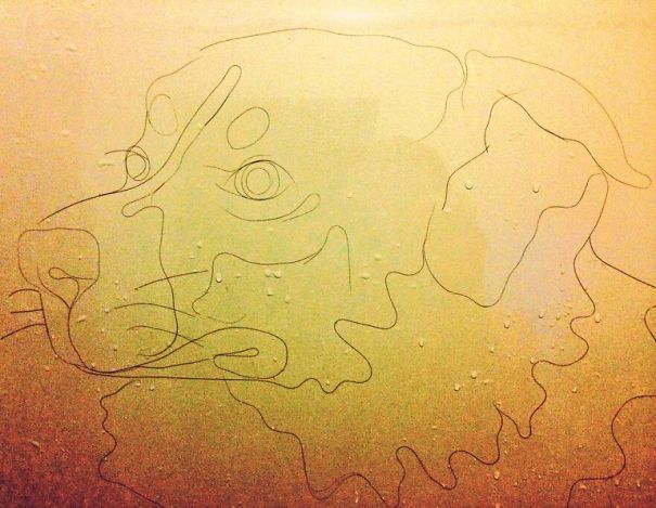 Artist Makes Drawings With Hair Falling In The Bath