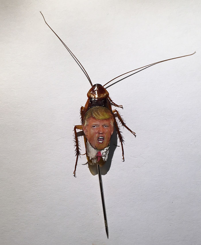 I Painted Donald Trump And Vladimir Putin On Real Cockroaches