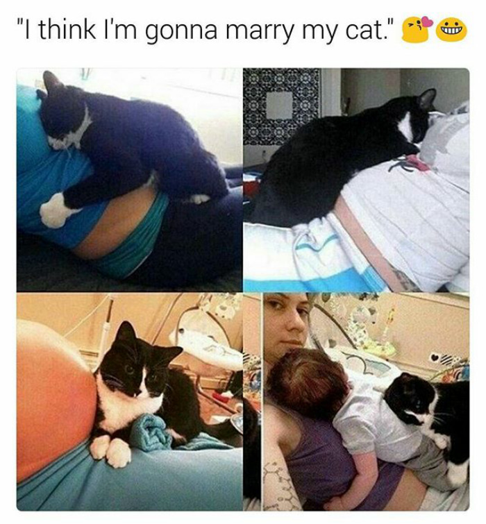 The Most Caring Cat