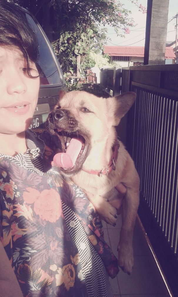 That Awkward Moment When Your Dog Yawn When You Want To Take Selfié