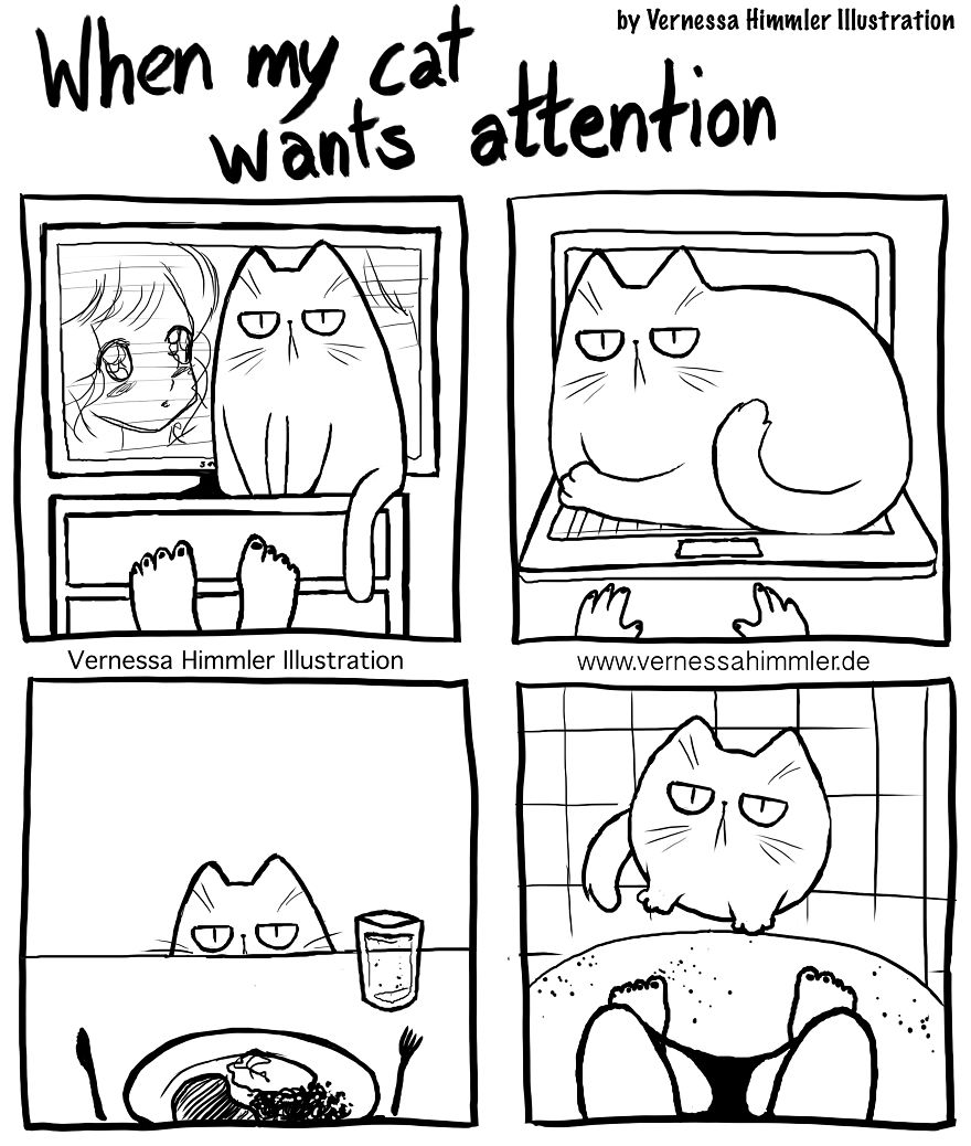 My Diary Comics About My Life With Two Cheeky Cats