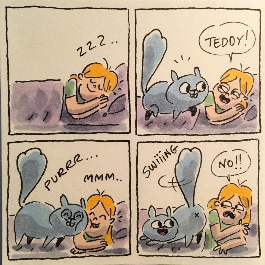 Cat Moments