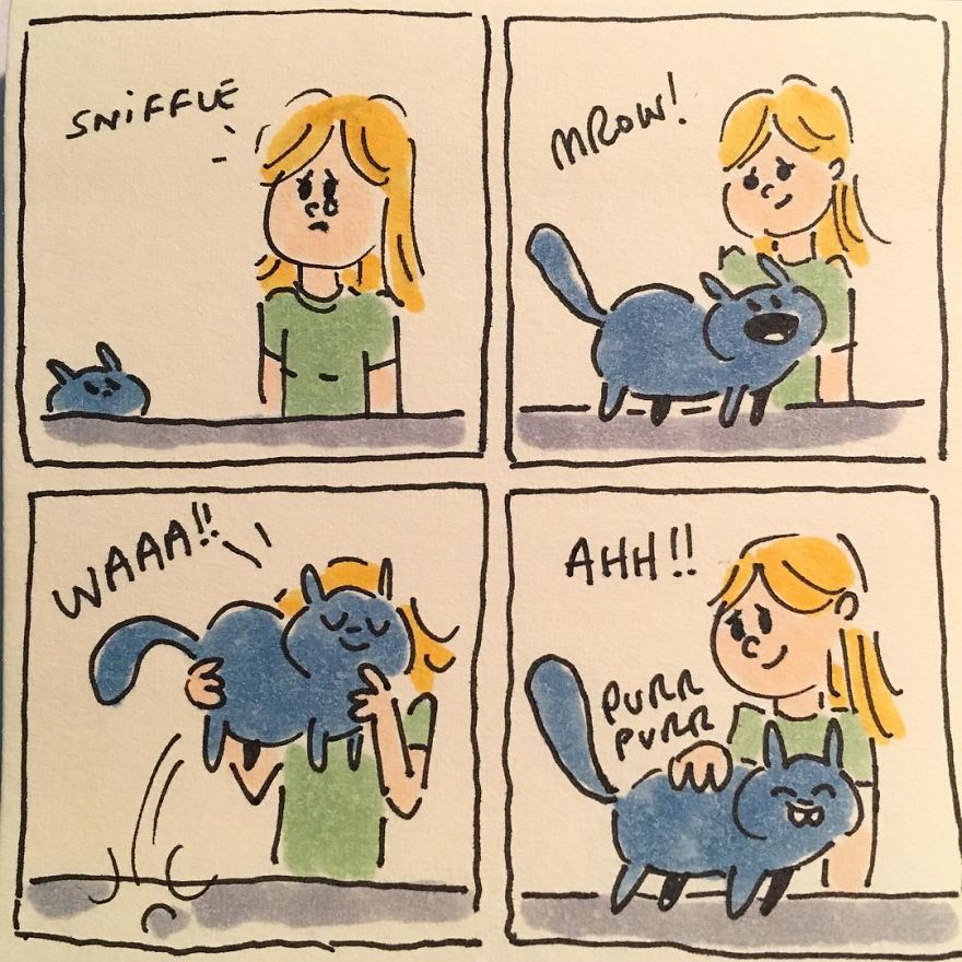 Cat Moments