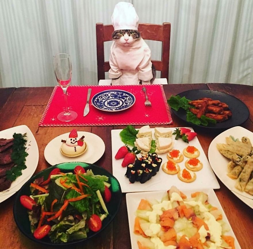 How To Dine The Japanese Way According To This Cute Instagram Cosplay Cat