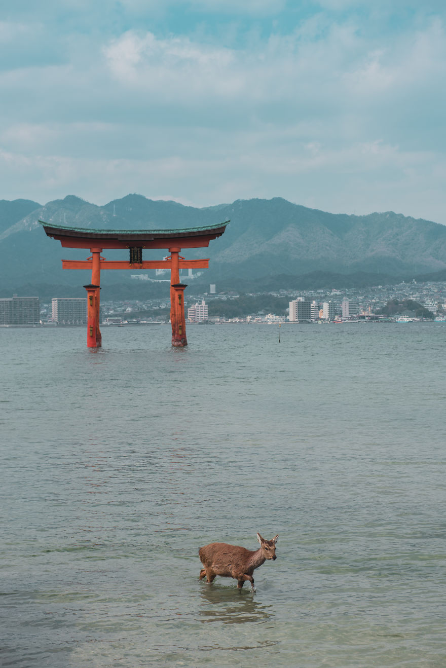 I Spent 4 Weeks Photographing An 'off The Beaten Track' Journey Through Japan
