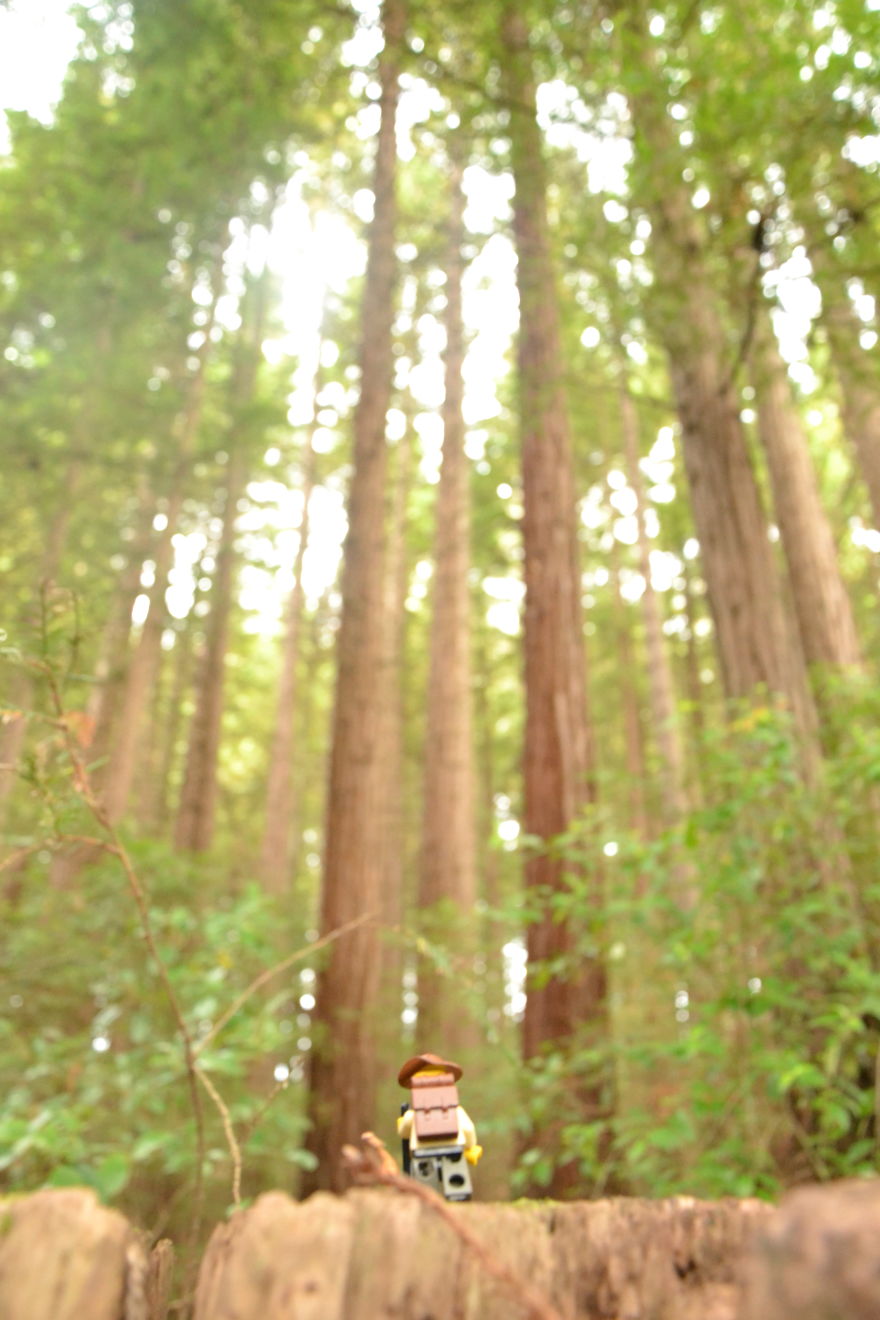 Tiny Little Traveller Tiny Little Traveller