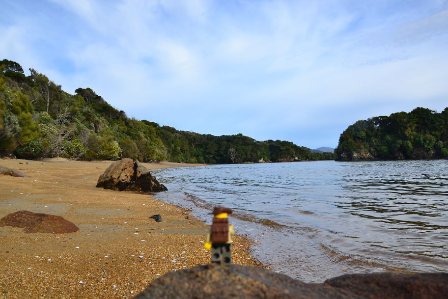Tiny Little Traveller Tiny Little Traveller