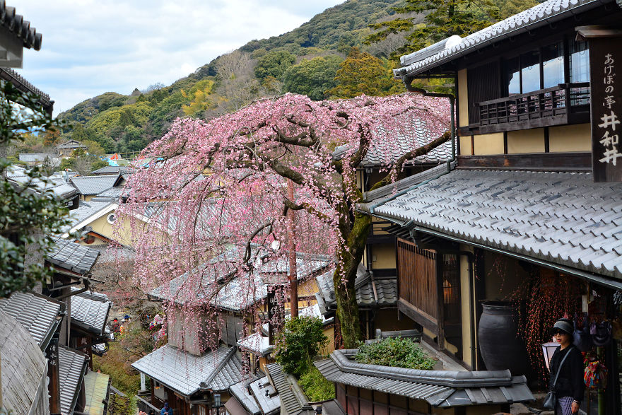 I Spent Two Weeks In Japan And I Fell In Love With This Country Where Past And Future Collide