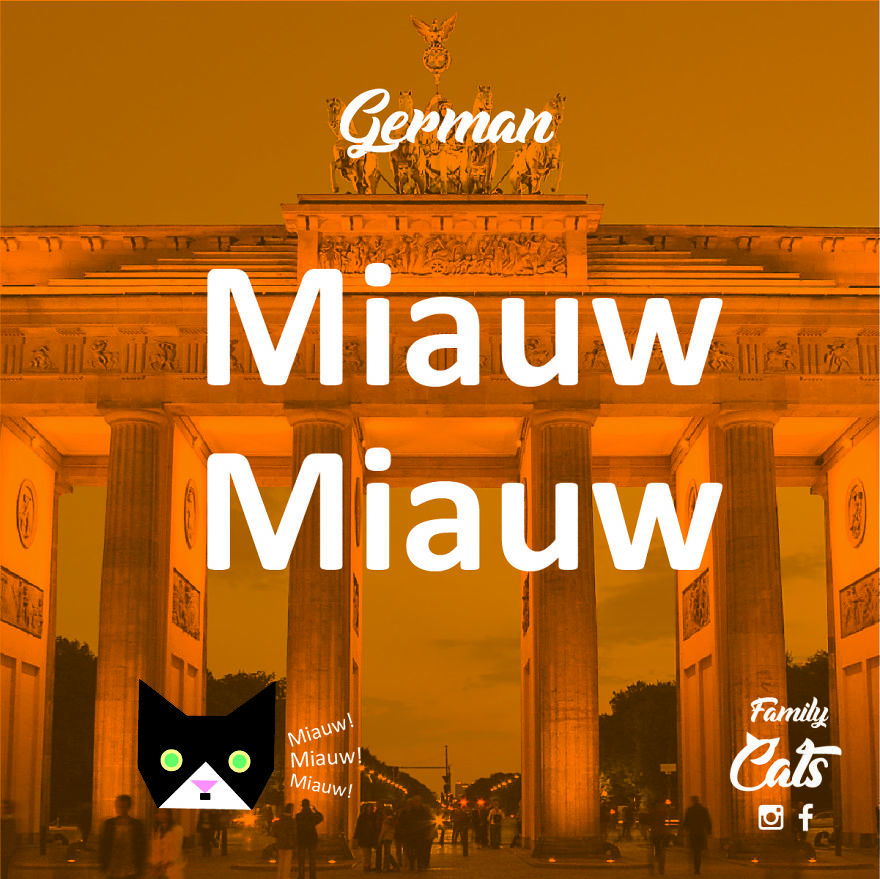 How Cats "Speak" In Different Languages