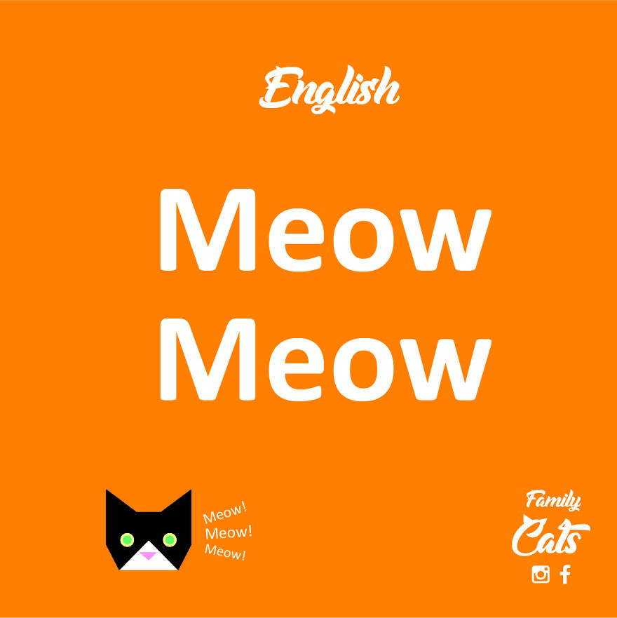 How Cats "Speak" In Different Languages