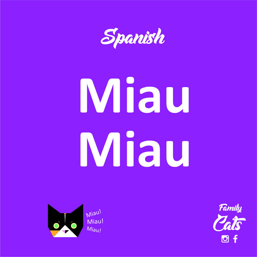 How Cats "Speak" In Different Languages