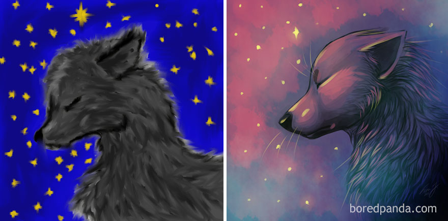Progress Of Drawing A Wolf By Tina Johanne
