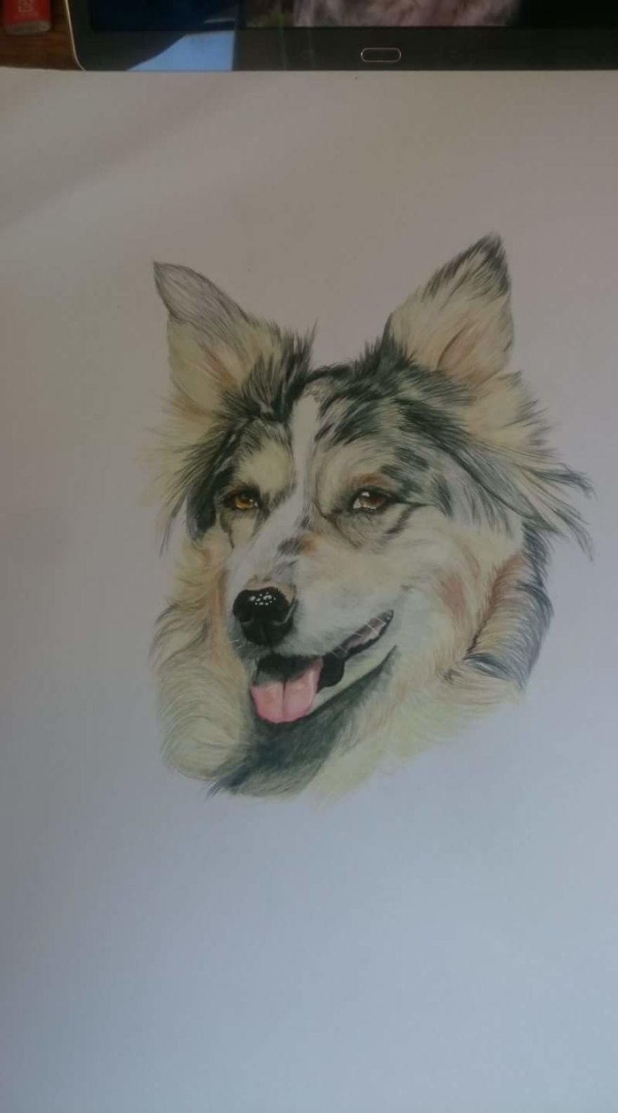 Self Taught Artists First Colour Dog Portrait.