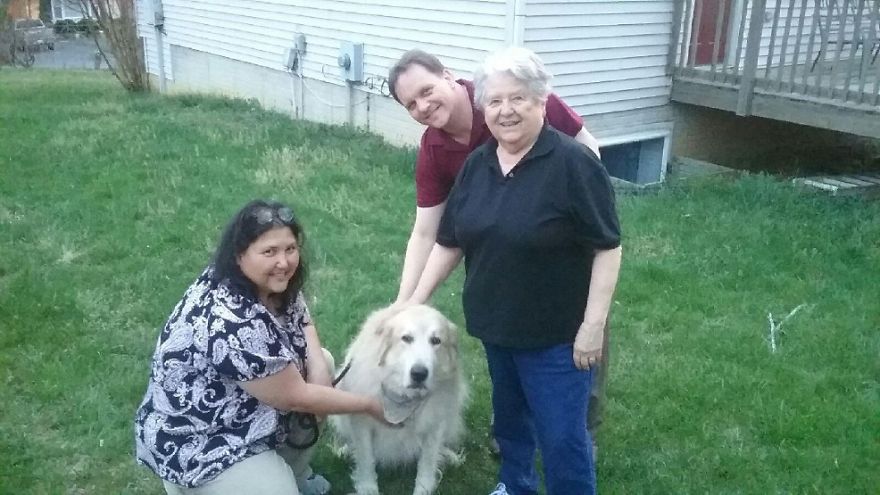 Forward To Freedom! Clever Dog Escaped From The Animal Clinic.