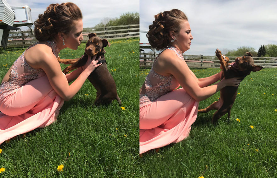 Girl Waiting For A Beautiful Photo, But The Puppy Did Not Cooperate