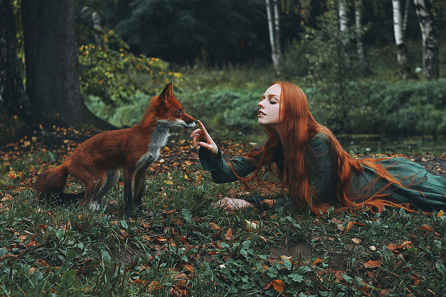Two Foxes Meet Together