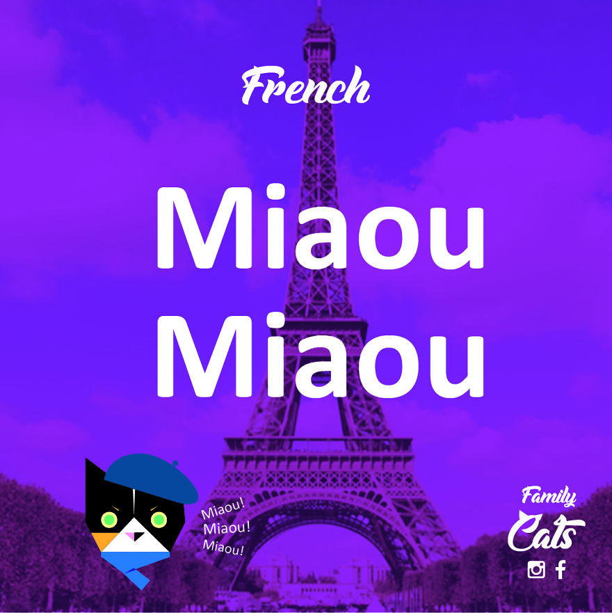 How Cats "Speak" In Different Languages