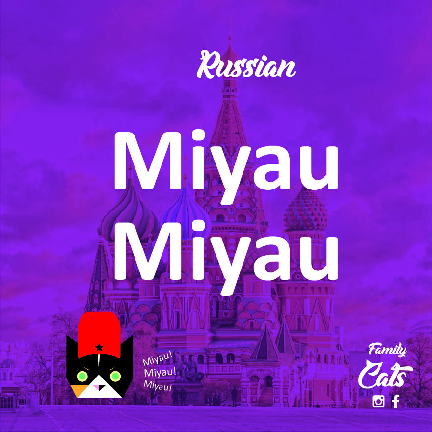 How Cats "Speak" In Different Languages