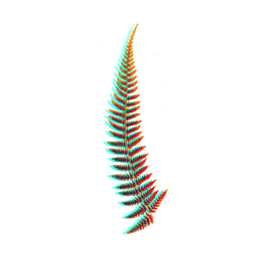 I Found Beauty And Simplicity In Single Leave I Found Beauty And Simplicity In Single Leave