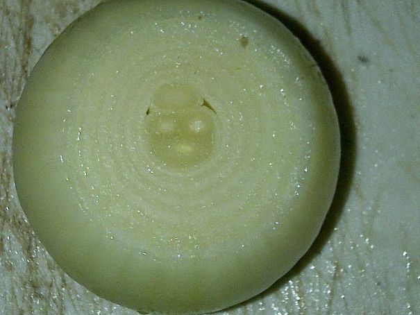 I Saw A Face In My Onion