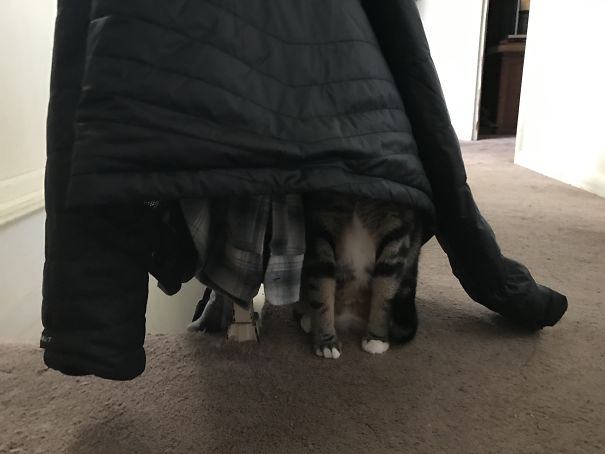 Can't See Me Now!