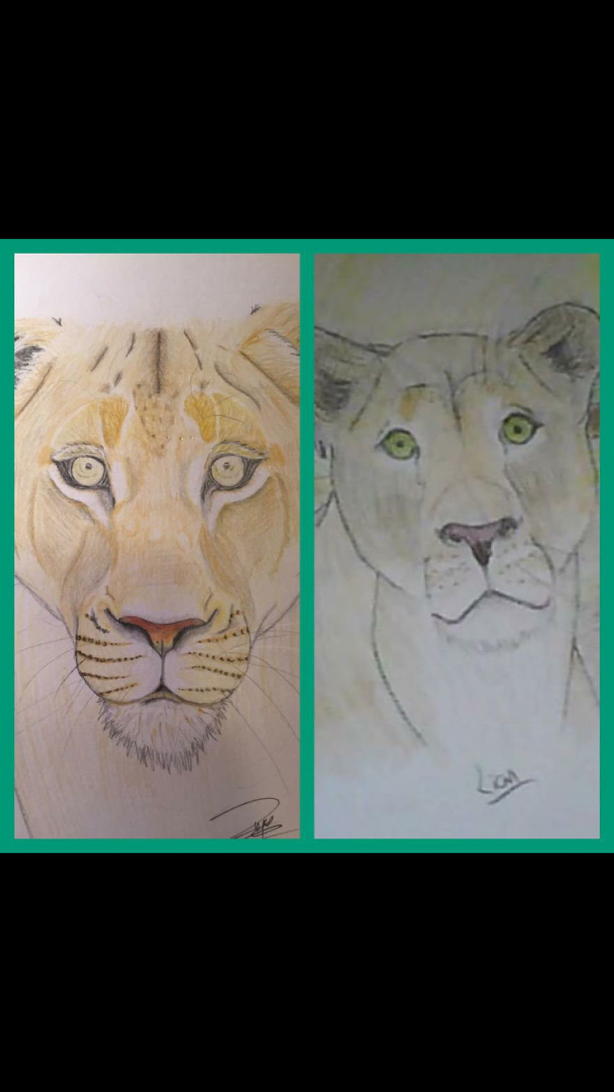 5 Year Difference Between These 2 Lionesses