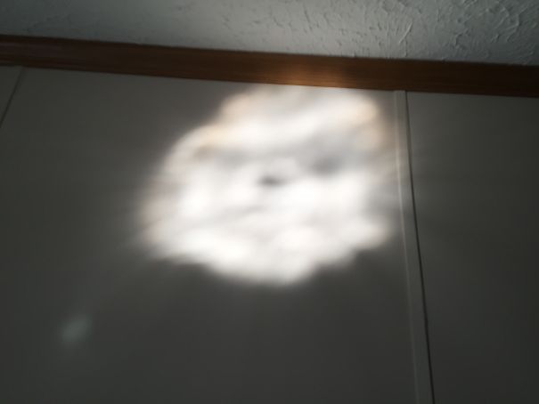 Teddy Bear Face In A Sun Reflection