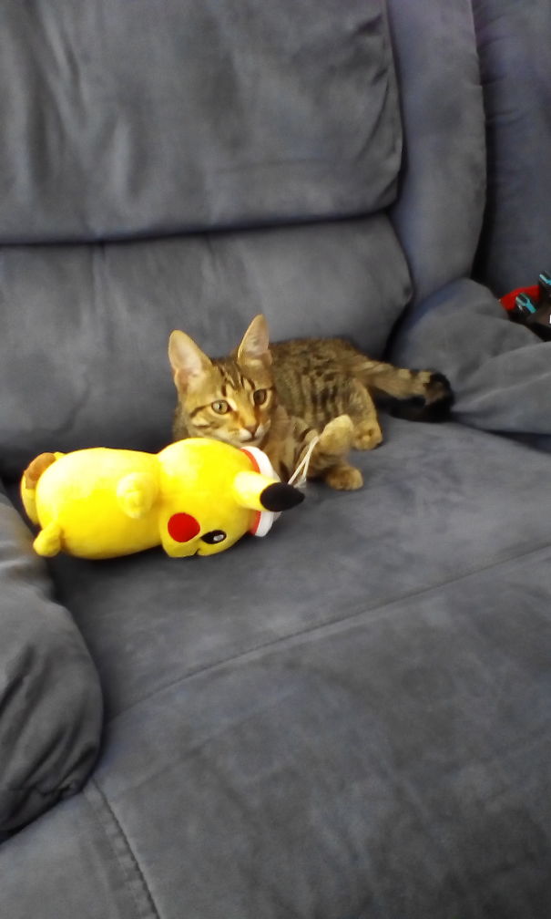 My Pikachu