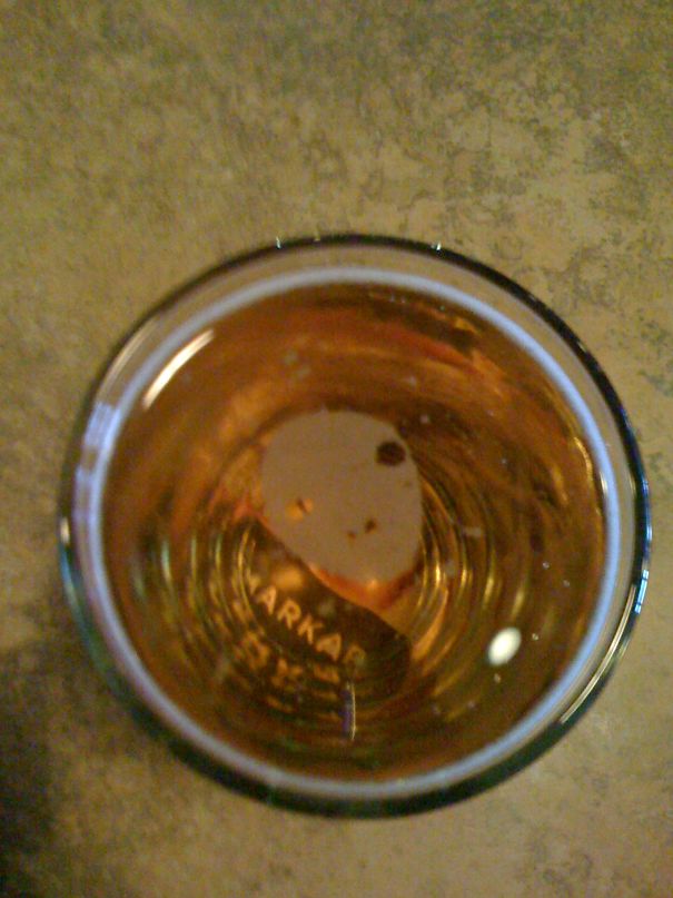 There's An Alien In My Beer.