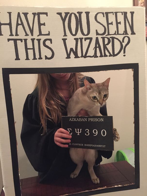 Azkaban For A Naughty Cat!