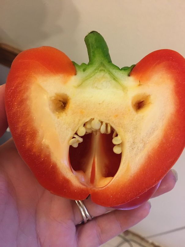 Angry Pepper Is Angry