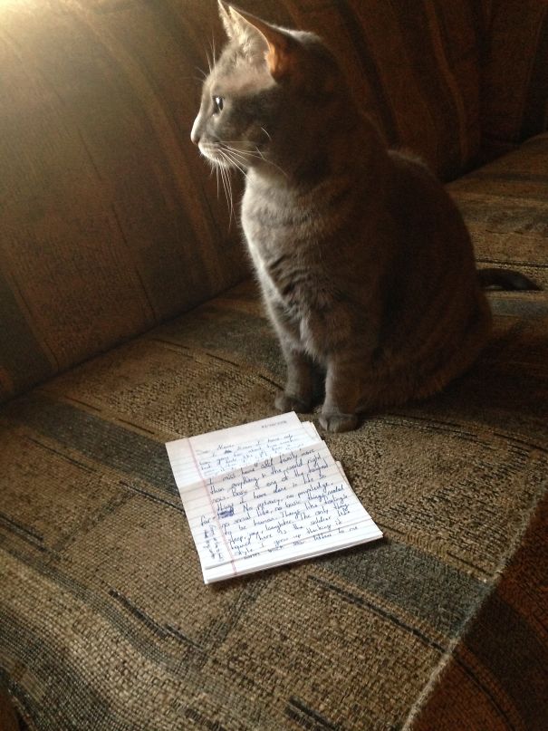 Received A Letter From Her Human In Basic Training