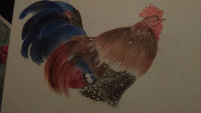 Illustrations Of Mine