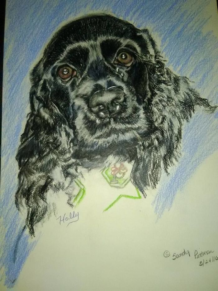 Illustrations Of Mine