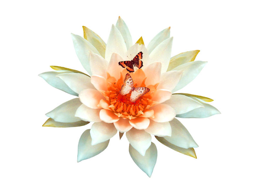 A Gin And Tonic For The Brain.