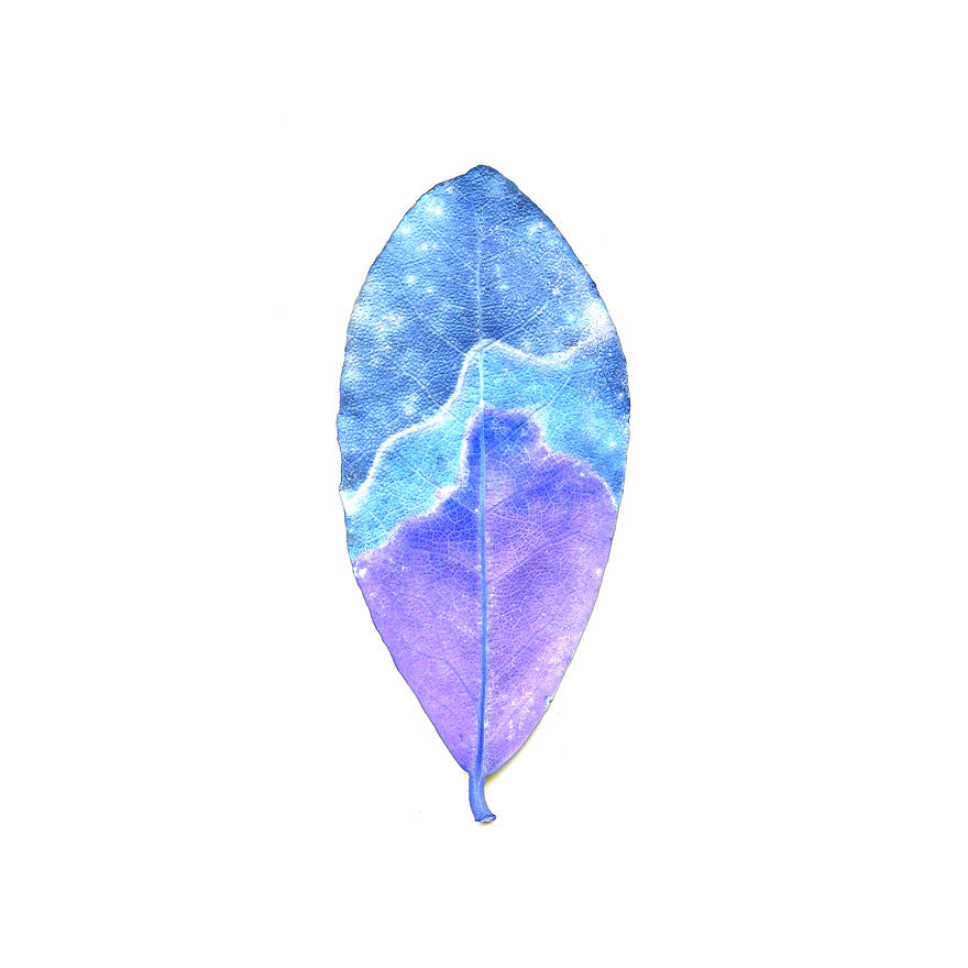 I Found Beauty And Simplicity In Single Leave I Found Beauty And Simplicity In Single Leave