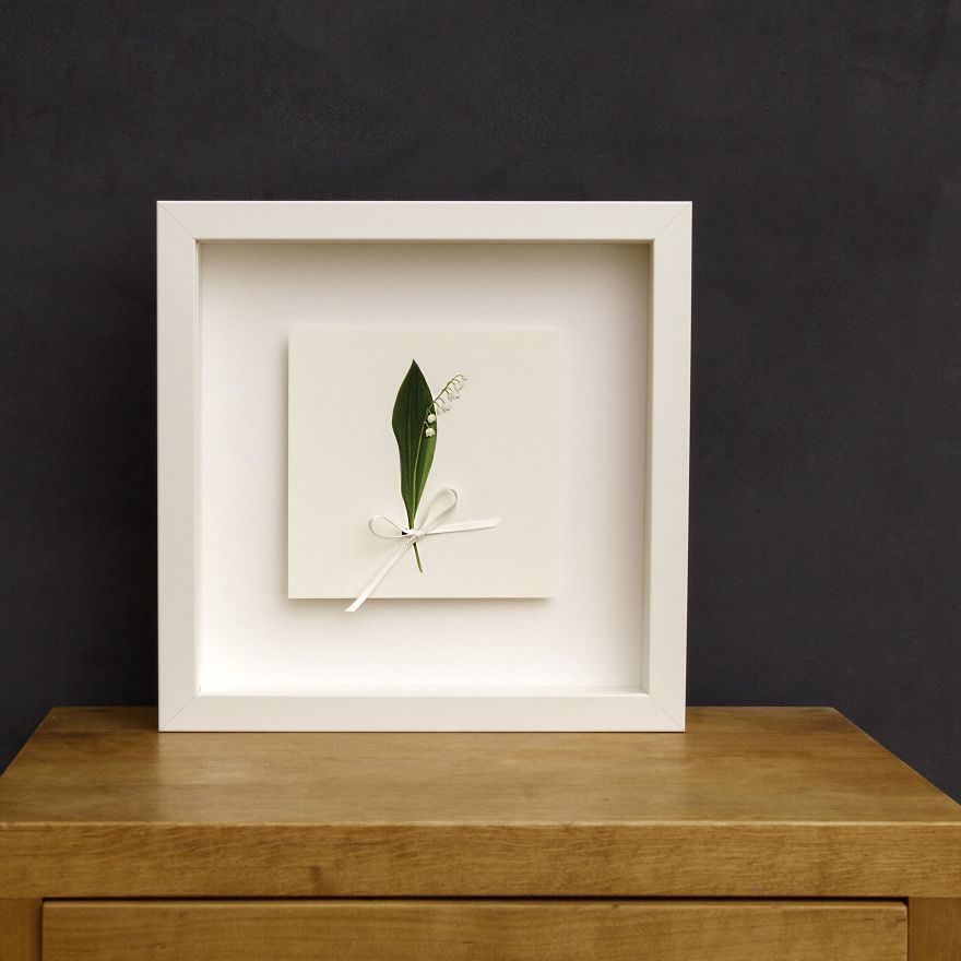 I Found Beauty And Simplicity In Single Leave I Found Beauty And Simplicity In Single Leave