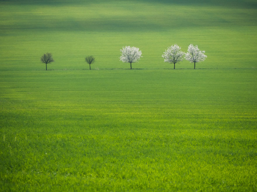 This Spring In South Moravia Got Me Completely!