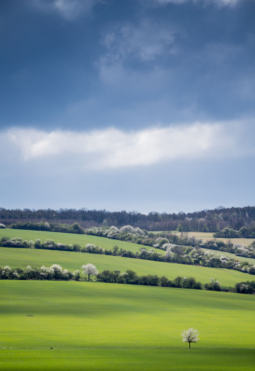 This Spring In South Moravia Got Me Completely!