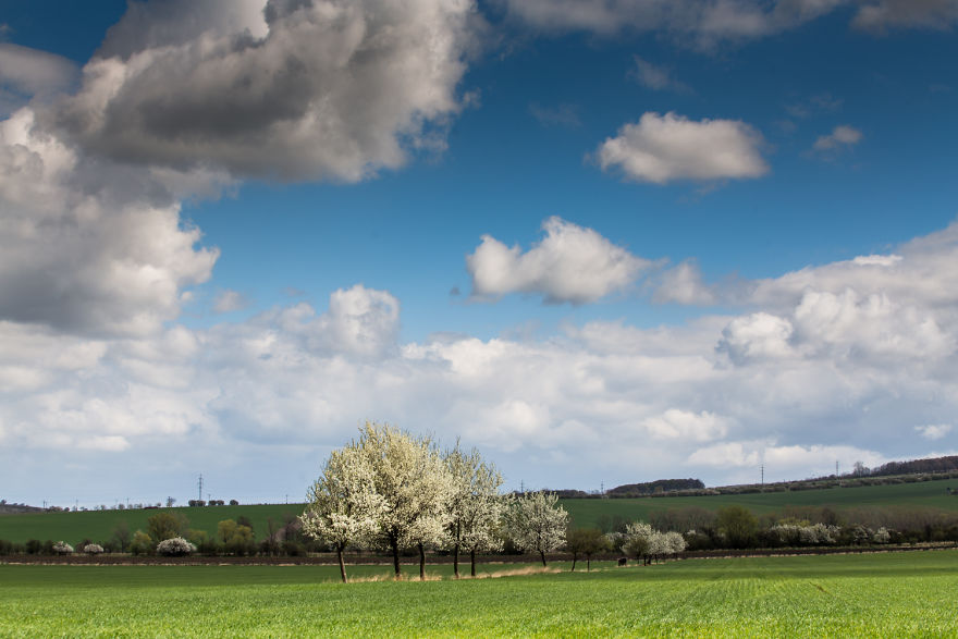 This Spring In South Moravia Got Me Completely!
