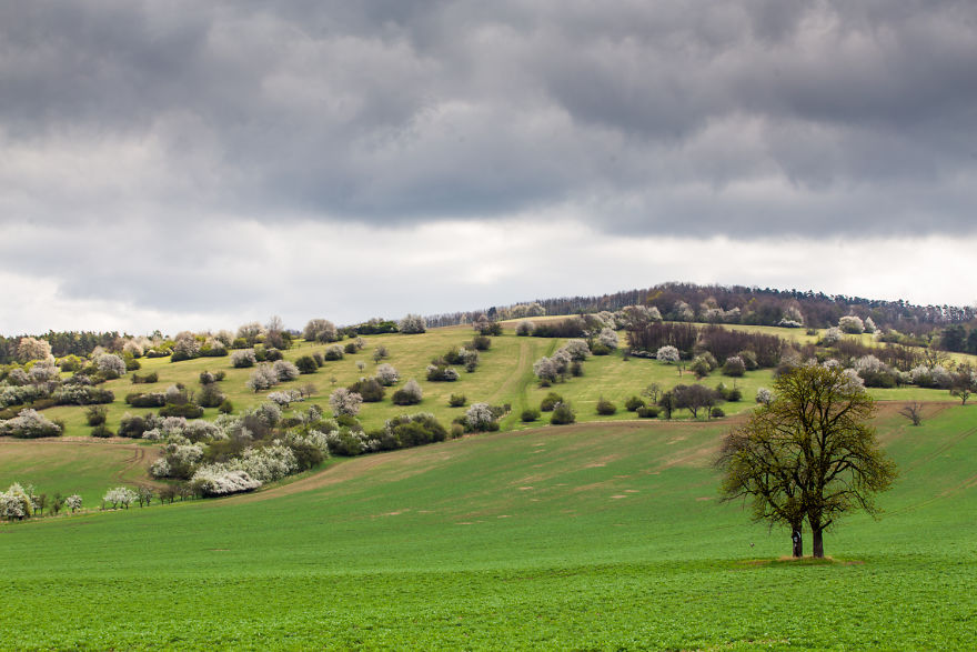 This Spring In South Moravia Got Me Completely!