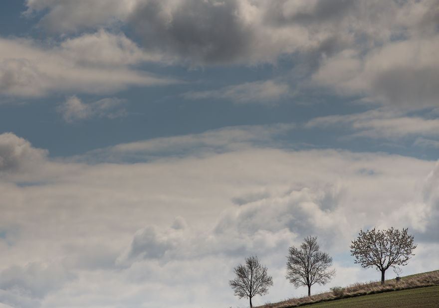 This Spring In South Moravia Got Me Completely!